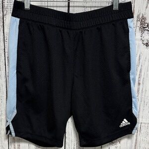 Adidas Black Shorts with Blue Accents